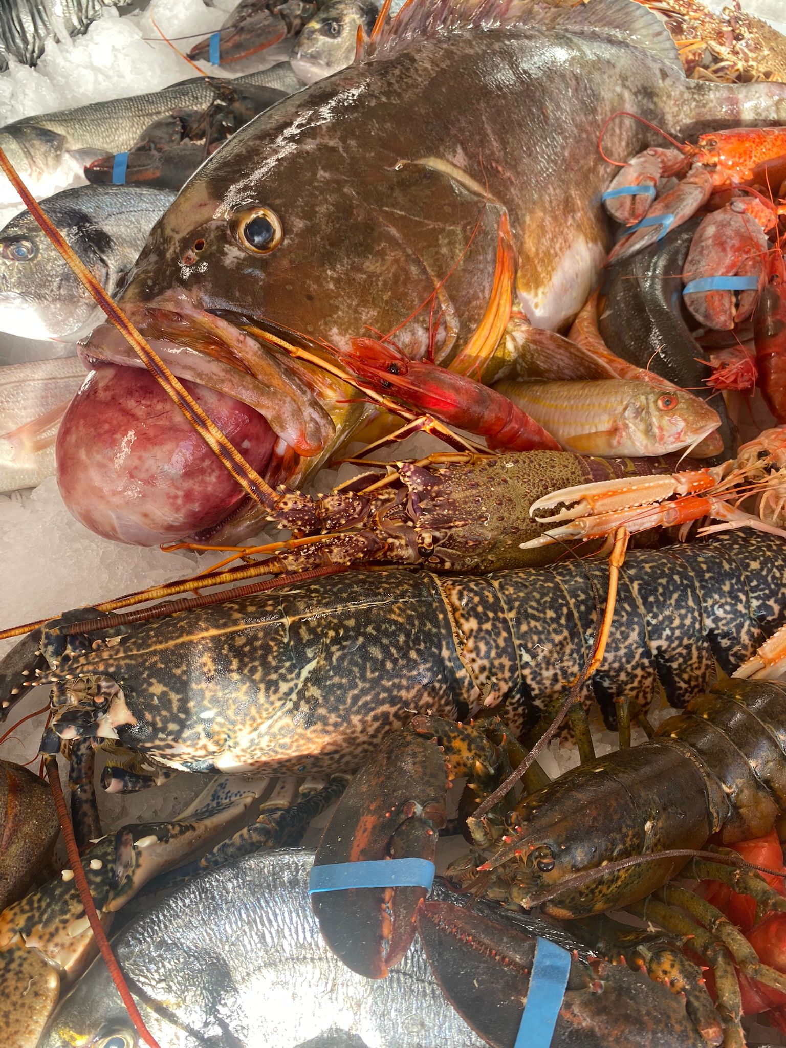 Aragoste e scampi vivi disposti sul ghiaccio del banco pescheria